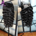 Indian Hair Vendors lace front wigs frontal